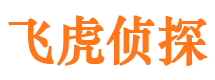 冷湖市调查公司